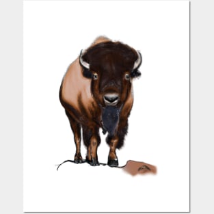 Cute Bison Drawing Posters and Art